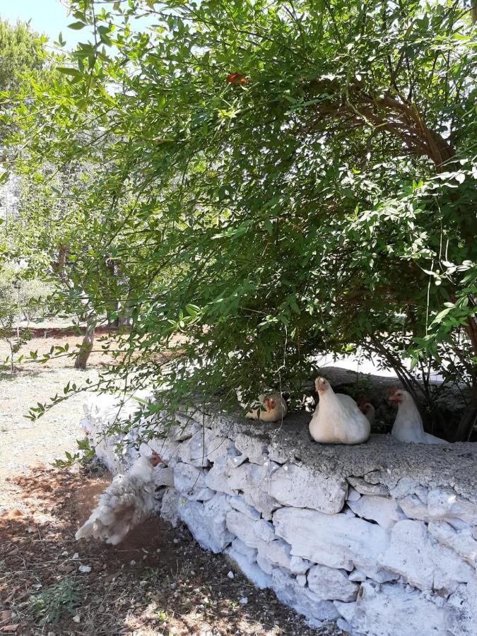 Trullo Fellone Villa Челие Месапика Екстериор снимка